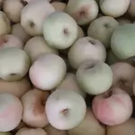 Small Apple
